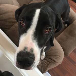 Meet your Posher, Julianne